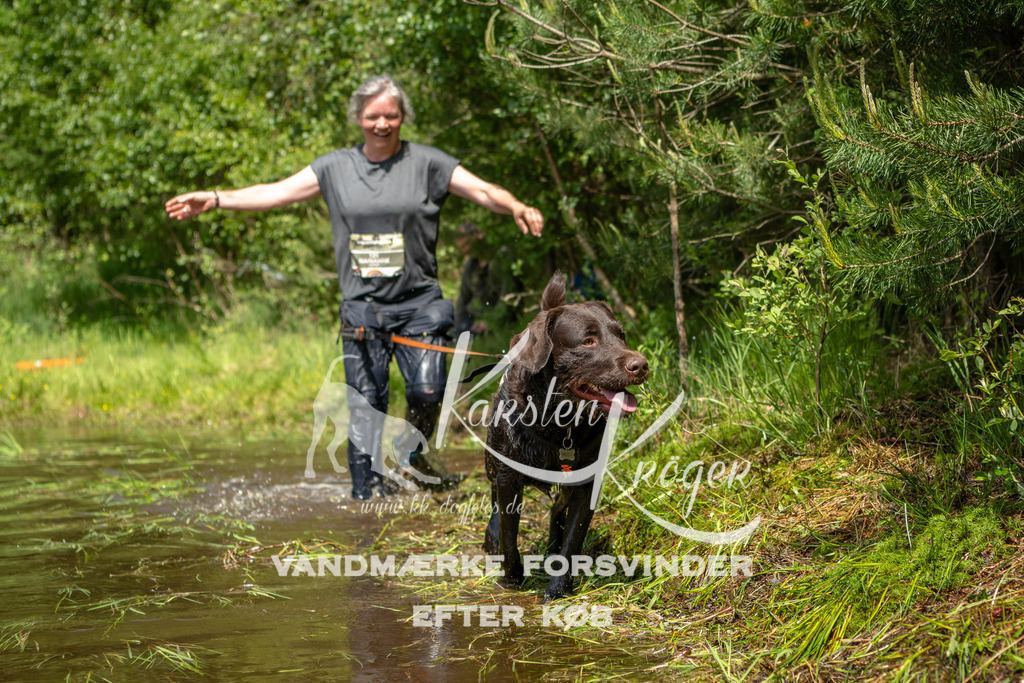 1257DKK993803 | kk-dogfotos