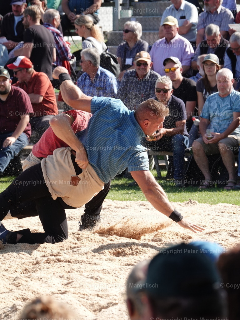 DSC05608 | Schwingen - Realisiert mit Pictrs.com