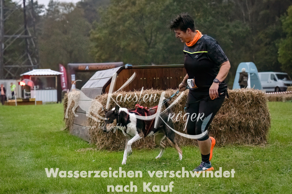 0806-_ZZ90147-Bearbeitet-Bearbeitet | kk-dogfotos