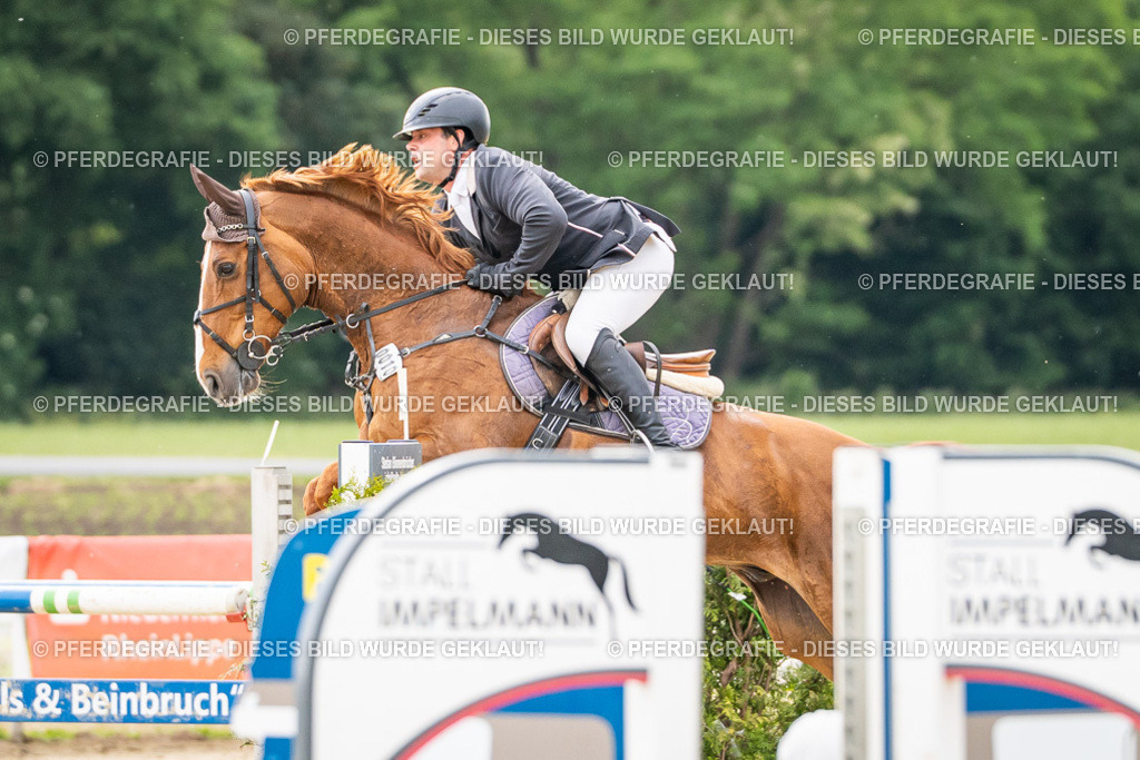 DSC06424 | Pferdegrafie