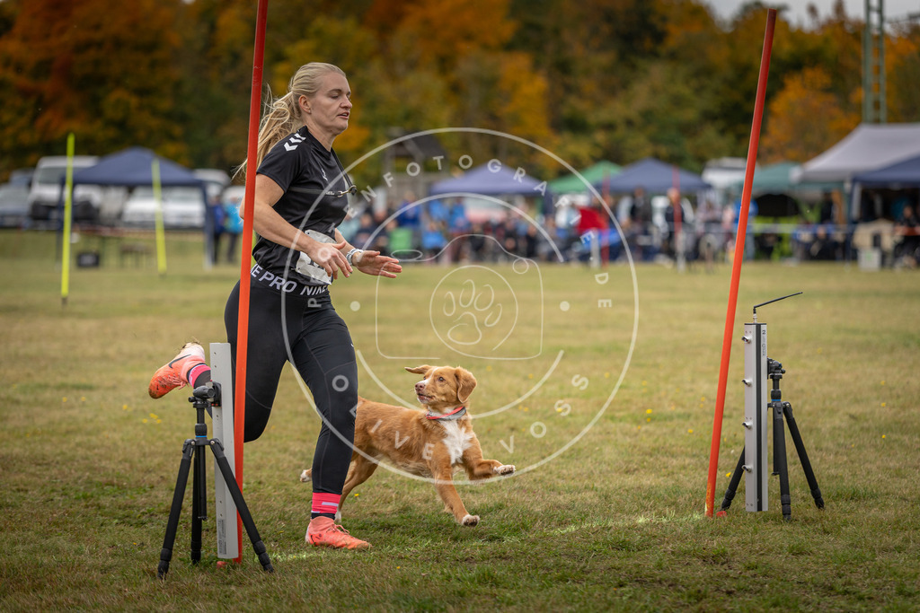 Pfotenfotografie_DV3A7485 | Hundefotografie, Tierfotograf, Pfotenfotografie, Fotoshooting Hund, Hunde Portrait, Hundesport, Hundeportraits, Heideshooting, Hunde, Sportfotograf, Hundefotograf, Turnierhundsport, THS,  - Realisiert mit Pictrs.com