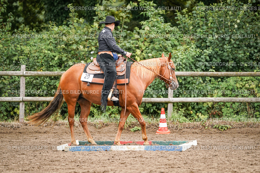 DSC03542 | Pferdegrafie