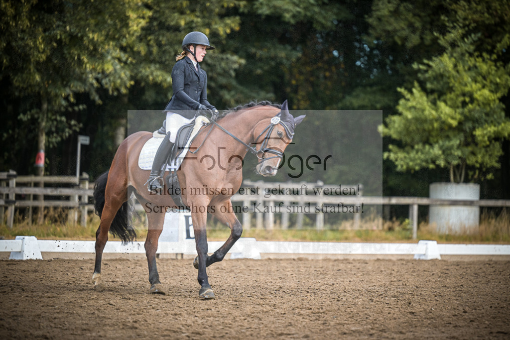 DOS_1608 | Entdecke hochwertige Reitturnierfotos von Foto Oger. Professionell, emotional und authentisch – jetzt Lieblingsmomente im Shop bestellen.Deutschlandweite Turnierfotografie. - Realisiert mit Pictrs.com