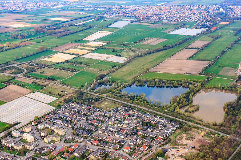 Luftbild: Weidenweg in Haßloch im Bundesland Rheinland-Pfalz in Deutschland. Foto: IMG_49887.jpg vom 13.04.2012 durch Werner Riehm/FLY-FOTO.de