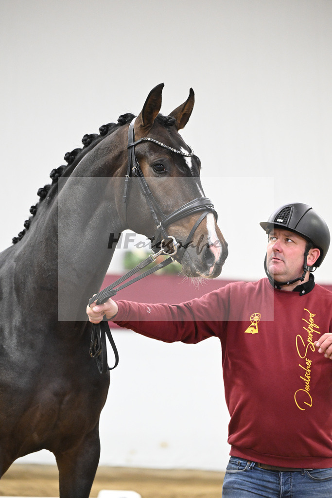 Kat-Nr. 42 So Perfect x Dancier_ZG Nahm_47251468 | hf-fotografie - Realisiert mit Pictrs.com