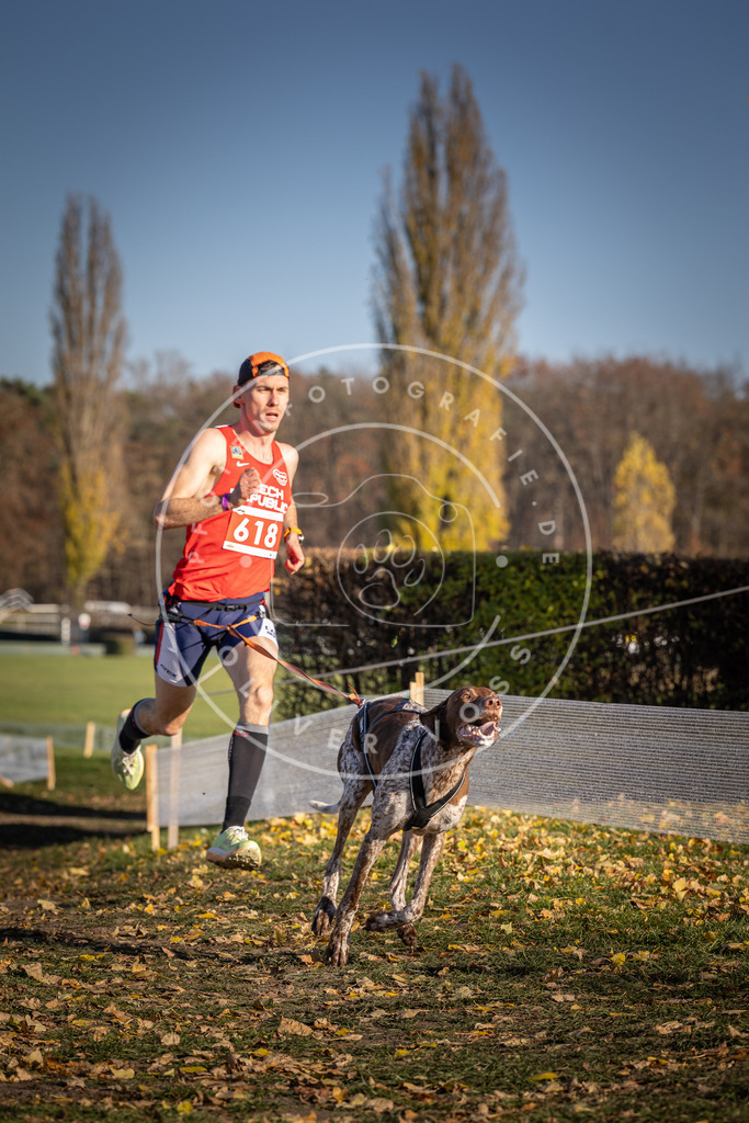 CaniXpix_DV3A9849 | Hundefotografie, Tierfotograf, Pfotenfotografie, Fotoshooting Hund, Hunde Portrait, Hundesport, Hundeportraits, Heideshooting, Hunde, Sportfotograf, Hundefotograf, Turnierhundsport, THS,  - Realisiert mit Pictrs.com