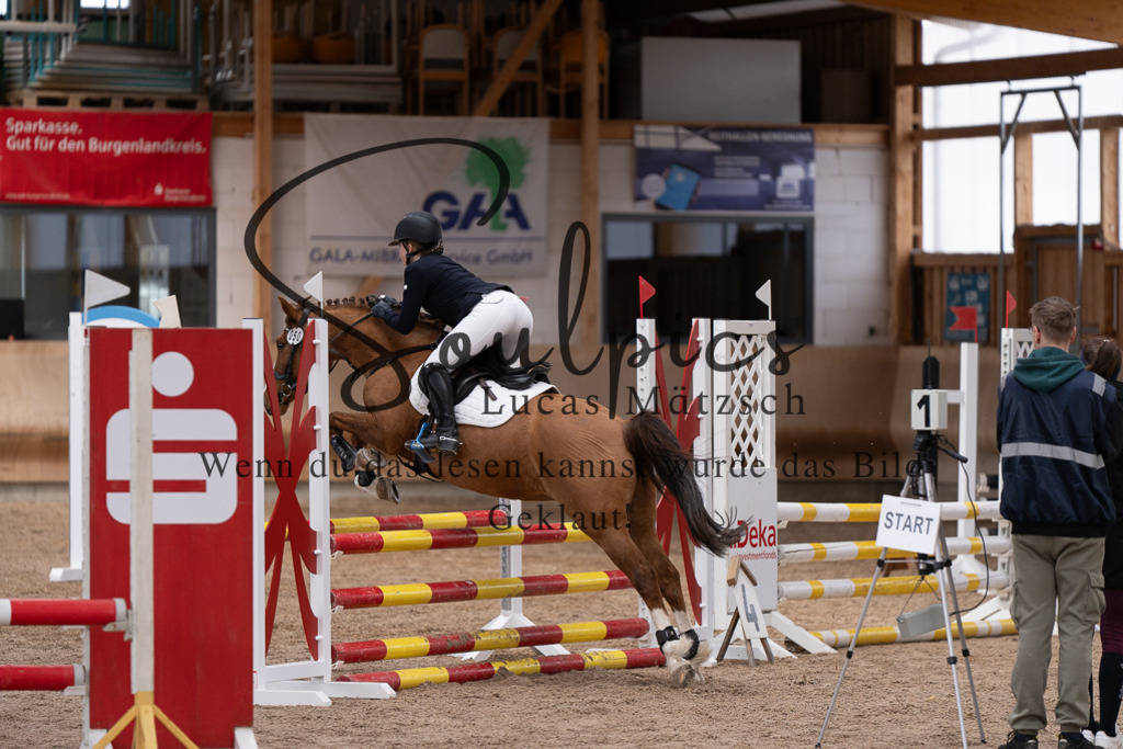 A7507531 | Pferdefotograf