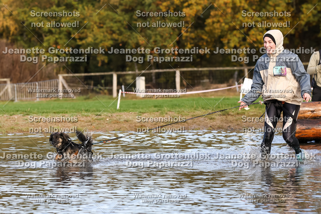 Dog Paparazzi - Strongdog 10-25-8319 | Dog Paparazzi Jeanette Grottendiek Fotografie & Videografie - Realisiert mit Pictrs.com