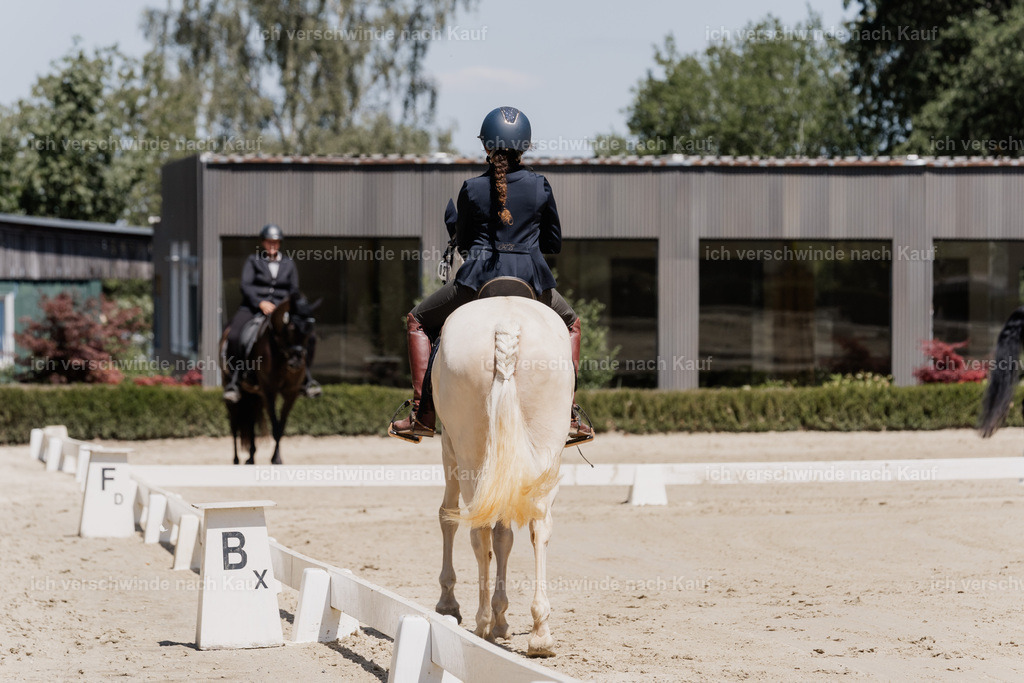 WE_DR_27_SinaFilmArt_IN03058 | working equitationturnier fotograf videograf stoibphotography marixx film working equitation deutschland reitsport turnierfotografie eventfotografie equestrian events