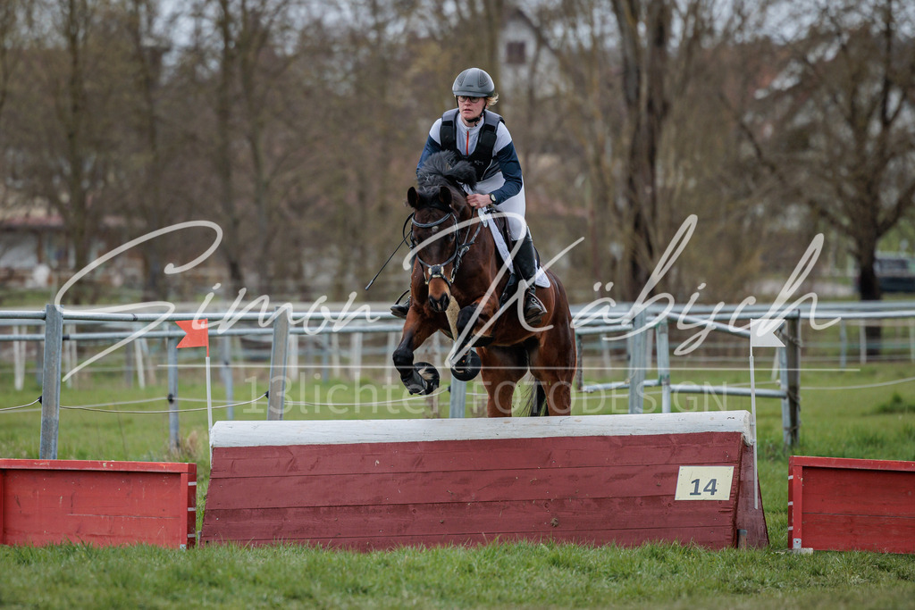 20260329-_3LI5349 | Tierfotografie Pferde, Hunde, Katzen, Haustiere.
Turnierfotografie Reitturniere, Reiten, Springreiten, Dressur in Hanau, dem Main-Kinzig-Kreis und dem Rhein-Main- Gebiet um Frankfurt