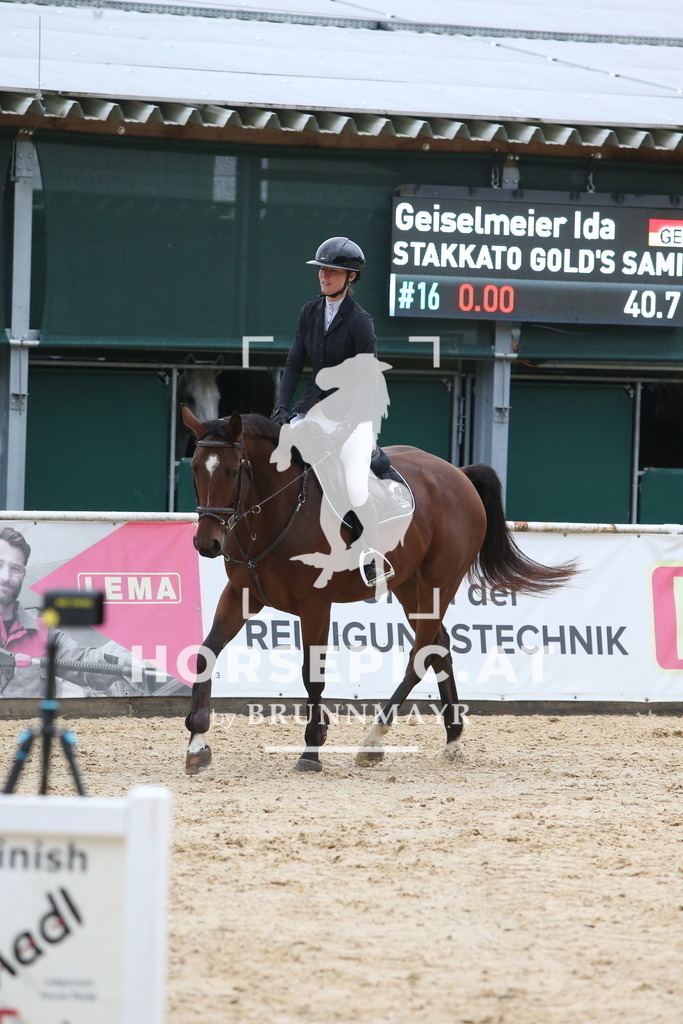 DL2Q0307 | Willkommen bei Brunnmayr - Design & Fotografie – Ihrem Spezialisten für Reitturniere und Pferdeveranstaltungen in Oberösterreich, Salzburg und Bayern! Seit über 17 Jahren sind wir leidenschaftlich dabei.