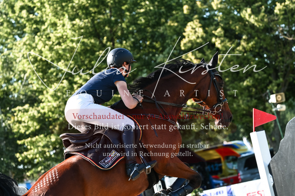 DSC_2702 | Pferde- und Turnierfotografie in Westsachsen. Pferdeportraits, Auftragszeichnungen und intuitive Kunst.