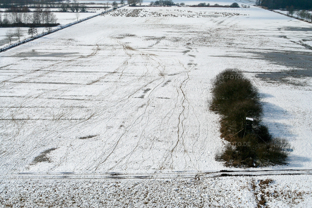 Luftbild: Schafweide Otterbach vor Schaidt im Ortsteil Schaidt in Wörth im Bundesland Rheinland-Pfalz in Deutschland. Foto: IMG_1132.jpg vom 05.03.2006 durch Werner Riehm/FLY-FOTO.de