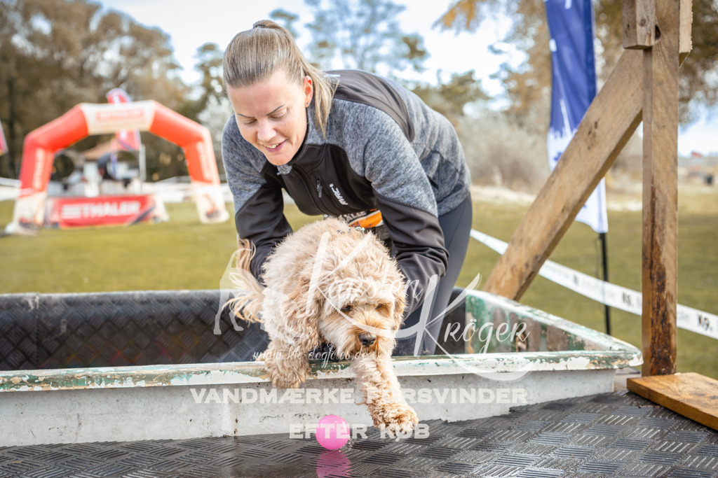 1408_ZZ93555-2 | kk-dogfotos