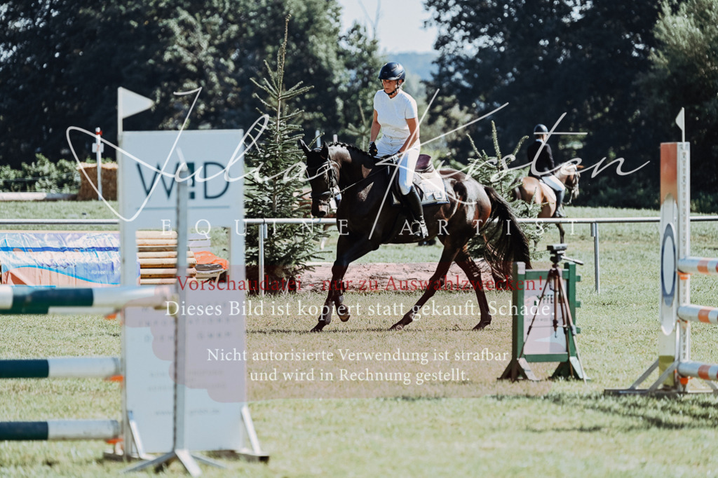 DSC_5673 | Pferde- und Turnierfotografie in Westsachsen. Pferdeportraits, Auftragszeichnungen und intuitive Kunst.