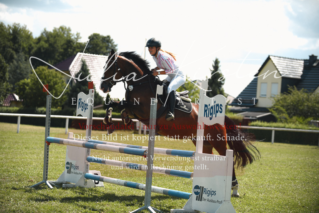 DSC_6562 | Pferde- und Turnierfotografie in Westsachsen. Pferdeportraits, Auftragszeichnungen und intuitive Kunst.