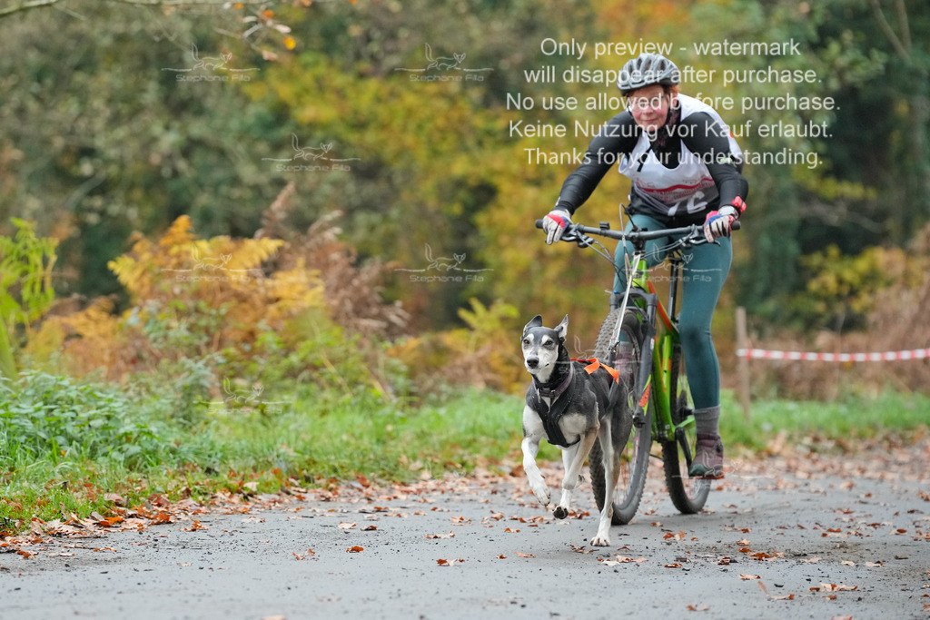 Bike_So-78 | stephaniefillaphotographie - Realisiert mit Pictrs.com