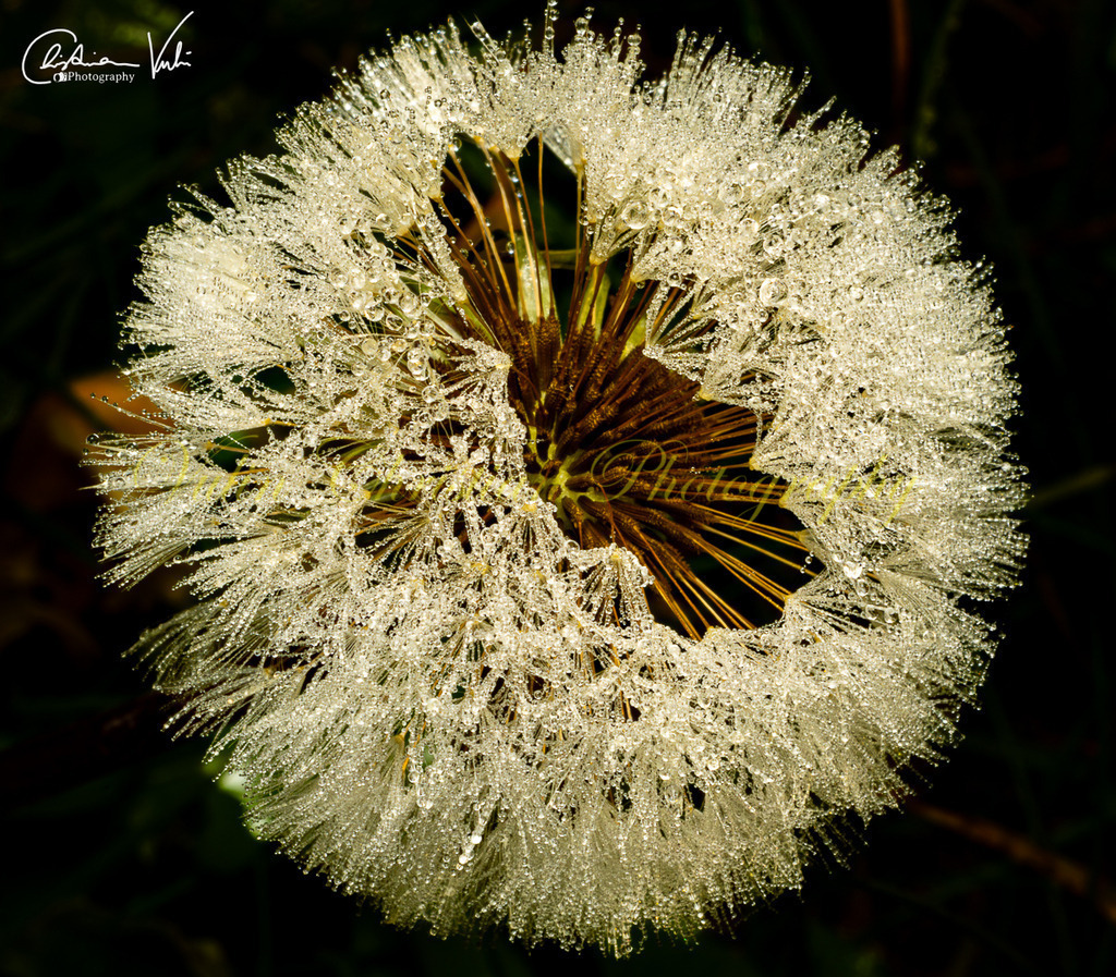 MN 24 | Christian Vulin  - Realisiert mit Pictrs.com