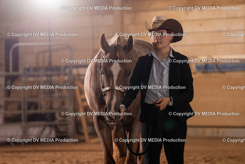 NID00108 | dv-media-shop - Realisiert mit Pictrs.com