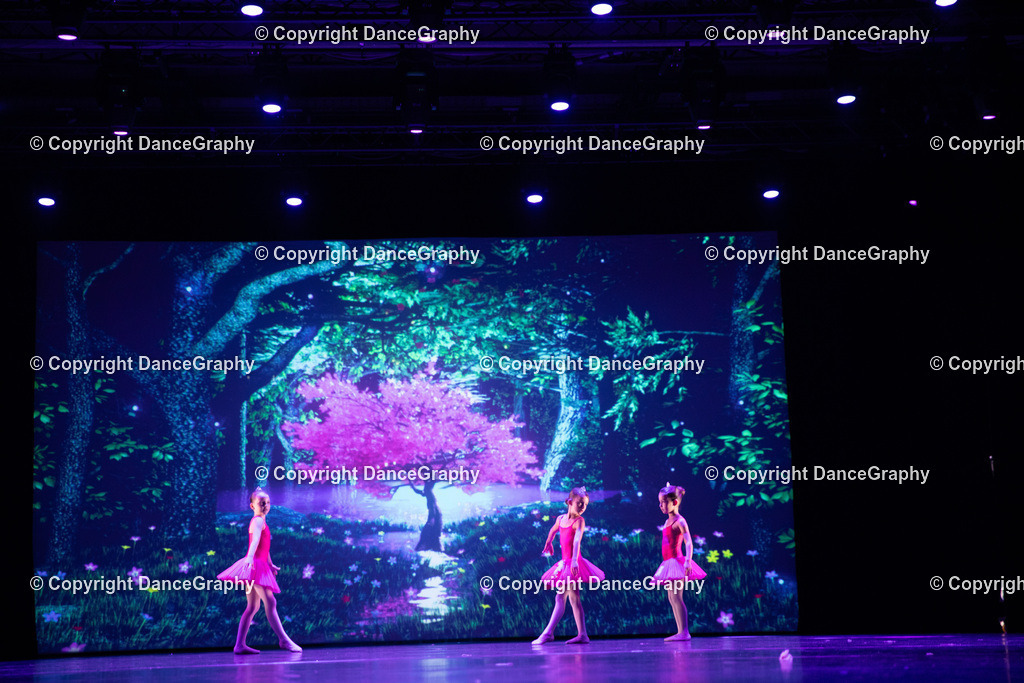 GPHY5022 | DanceGraphy - Realisiert mit Pictrs.com