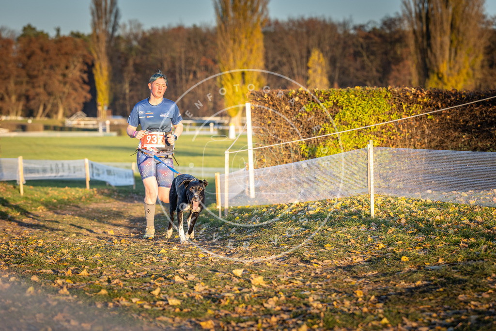 CaniXpix_DV3A5302 | Hundefotografie, Tierfotograf, Pfotenfotografie, Fotoshooting Hund, Hunde Portrait, Hundesport, Hundeportraits, Heideshooting, Hunde, Sportfotograf, Hundefotograf, Turnierhundsport, THS,  - Realisiert mit Pictrs.com