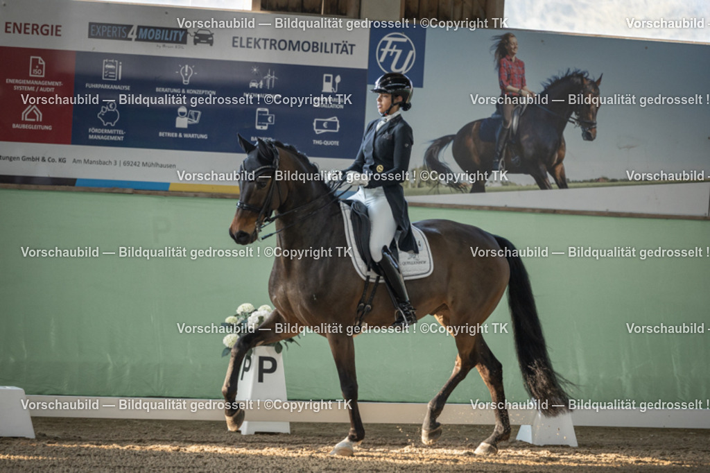 _D5A8026 | Emotionale Pferde- & People-Fotografie rund um Heidelberg, Leimen & Umgebung. Natürliche Fotos von Pferd, Mensch & Familie. Jetzt Termin sichern!