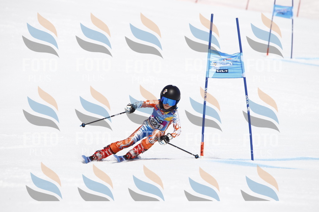 _U3G5695 | holidayphoto