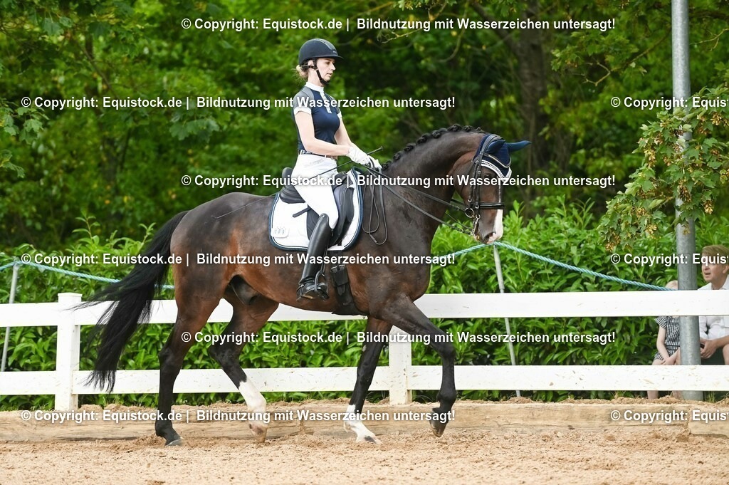 20230716_01_Dressurprüfung Kl.M_0484 | equistock