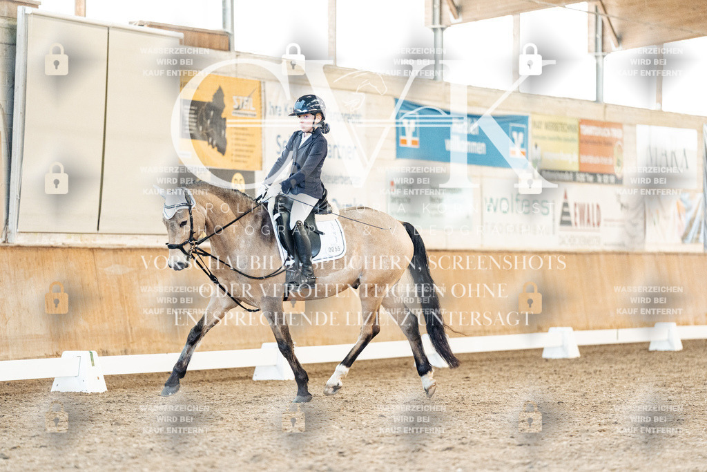 CK907426 | Turnierfotografie Pferdefotografie Trier Rheinland-Pfalz Pferdesport Reitsport Tierfotografie Sportfotografie Pferdevideo Pferdevideografie Equestrianvideography equestrianphotography  - Realisiert mit Pictrs.com