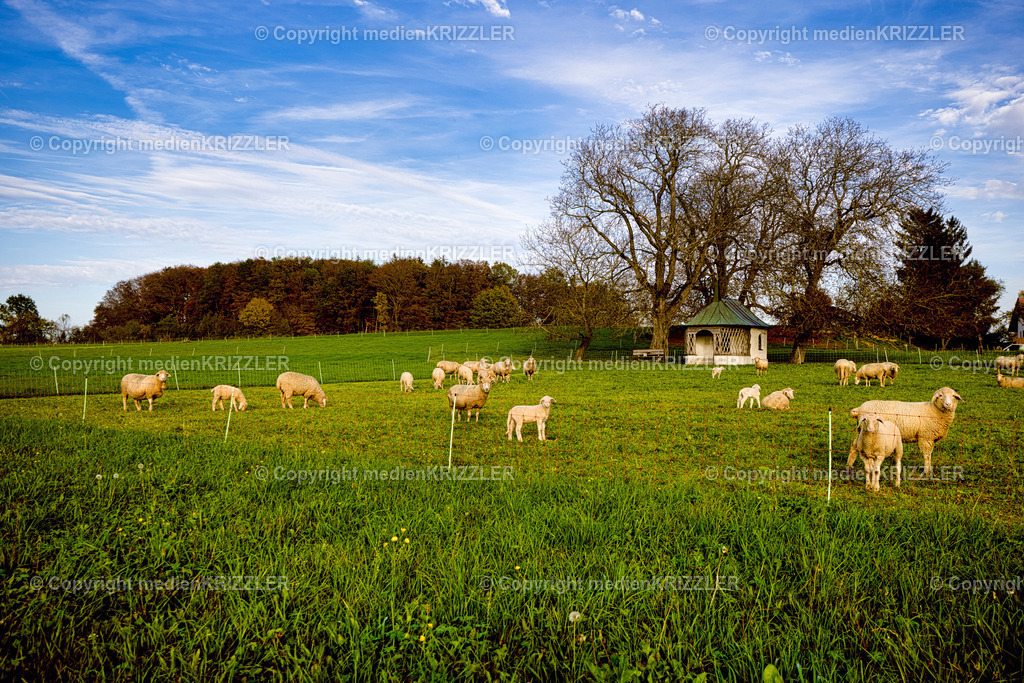 _J3A8975x | medienkrizzler - Realisiert mit Pictrs.com