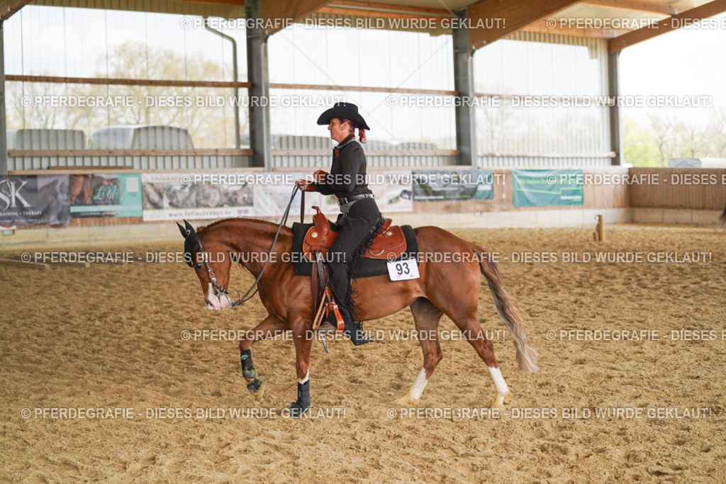 DSC02010 | Pferdegrafie