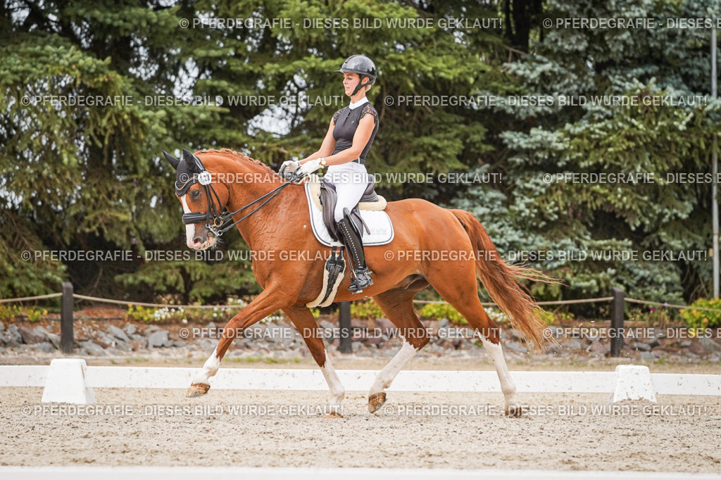 DSC07964 | Pferdegrafie