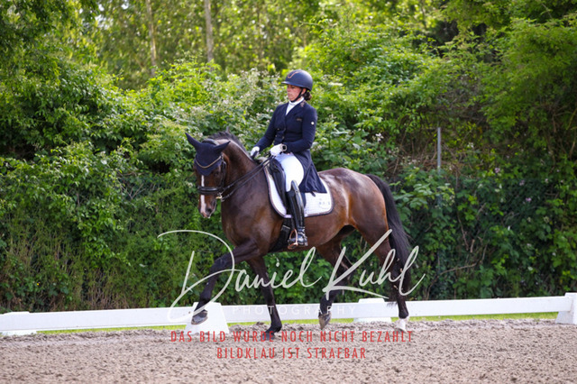 DKP41358 | Turnierfotos kaufen im Webshop von Daniel Kuhl Photography – entdecke professionelle Reitsportfotos aus Turnieren & Events. Hochwertige Turnierbilder online bestellen & sichern. Jetzt Fotos von Reitsportturnieren kaufen!
