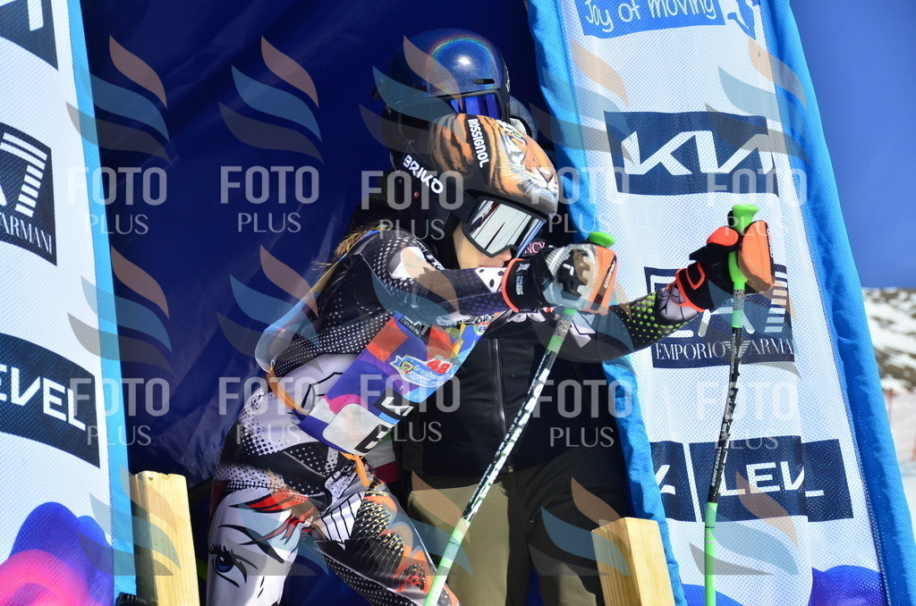 _ELE9665 | holidayphoto