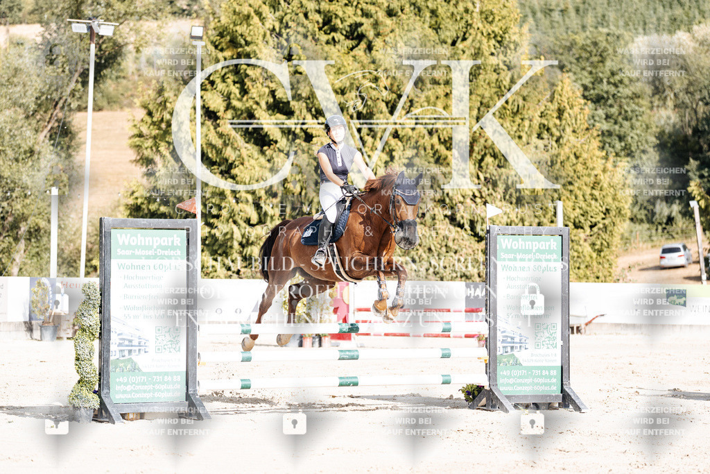 CK909102 | Turnierfotografie Pferdefotografie Trier Rheinland-Pfalz Pferdesport Reitsport Tierfotografie Sportfotografie Pferdevideo Pferdevideografie Equestrianvideography equestrianphotography  - Realisiert mit Pictrs.com