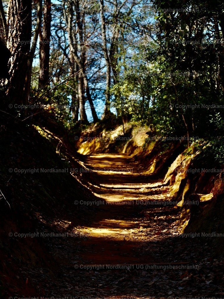 IMG_2963 | OLYMPUS DIGITAL CAMERA          - Realisiert mit Pictrs.com