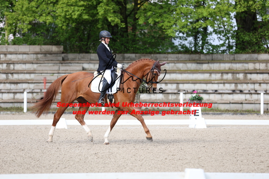 A40A0158 | lmwpictures - Realisiert mit Pictrs.com