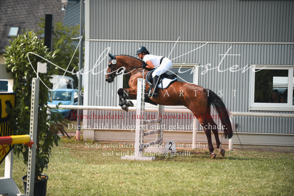 DSC_6523 | Pferde- und Turnierfotografie in Westsachsen. Pferdeportraits, Auftragszeichnungen und intuitive Kunst.
