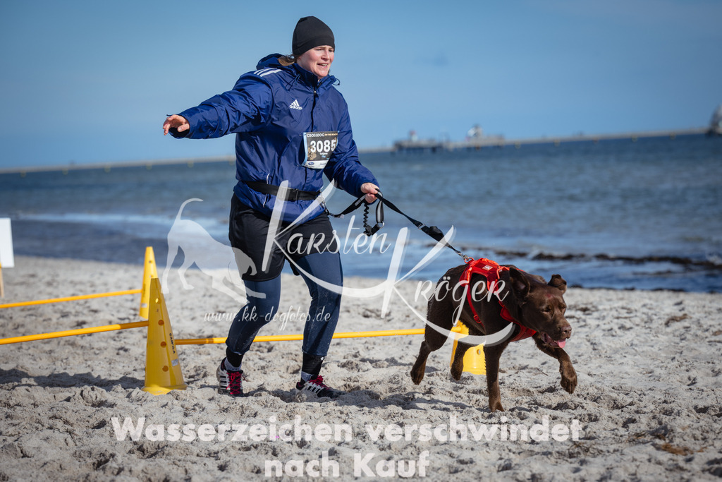 1348_ZZ93728 | kk-dogfotos