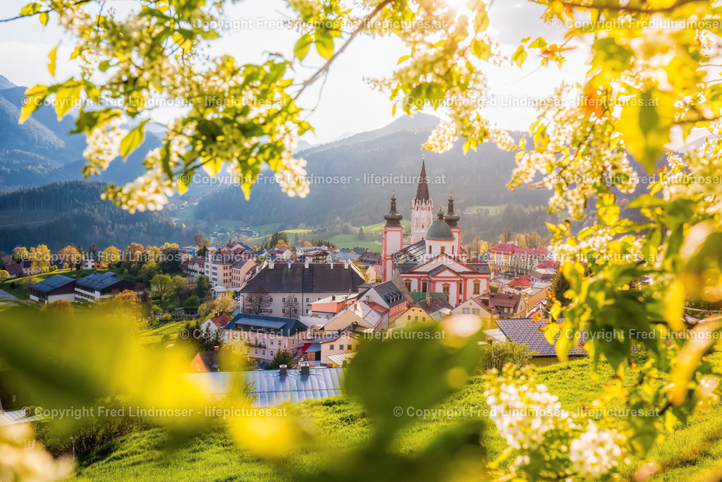 Mariazell Basilika Fruhling Stehralm-4053 | Fotos und Fotoprodukte - Realisiert mit Pictrs.com