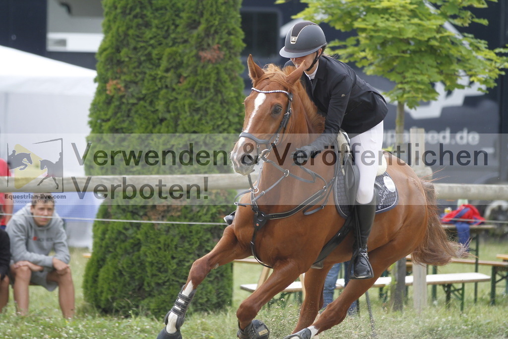 _MG_0410 | equestrian-live-com