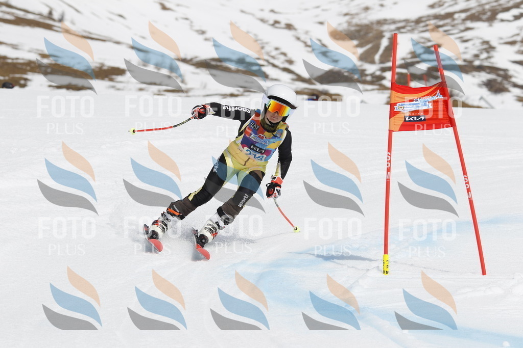 _U3G2339 | holidayphoto