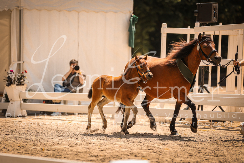 02.DoSR00227 | Leoni Ertmer Photography - Realisiert mit Pictrs.com