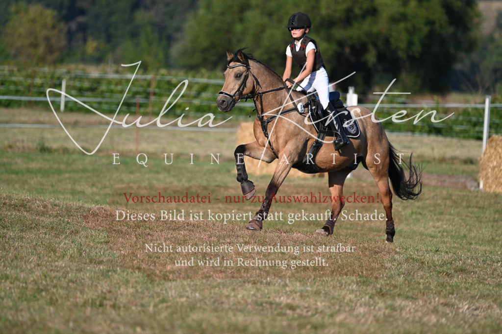 DSC_9186 | Pferde- und Turnierfotografie in Westsachsen. Pferdeportraits, Auftragszeichnungen und intuitive Kunst.