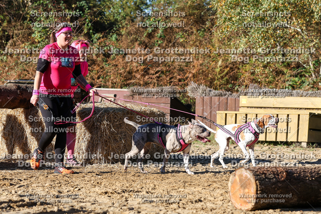Dog Paparazzi - Strongdog 10-25-1954 | Dog Paparazzi Jeanette Grottendiek Fotografie & Videografie - Realisiert mit Pictrs.com