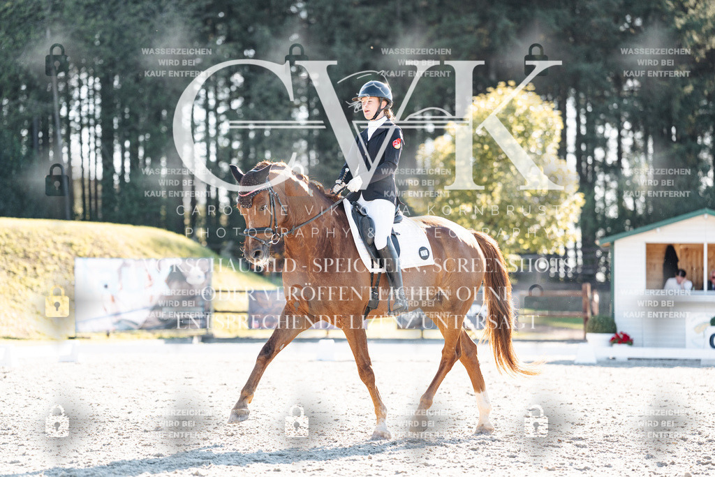 CK906680 | Turnierfotografie Pferdefotografie Trier Rheinland-Pfalz Pferdesport Reitsport Tierfotografie Sportfotografie Pferdevideo Pferdevideografie Equestrianvideography equestrianphotography  - Realisiert mit Pictrs.com