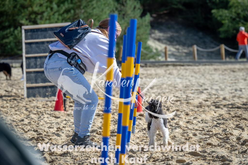 1328_ZZ90198 | kk-dogfotos