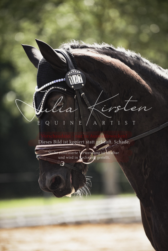 DSC_0680 | Pferde- und Turnierfotografie in Westsachsen. Pferdeportraits, Auftragszeichnungen und intuitive Kunst.