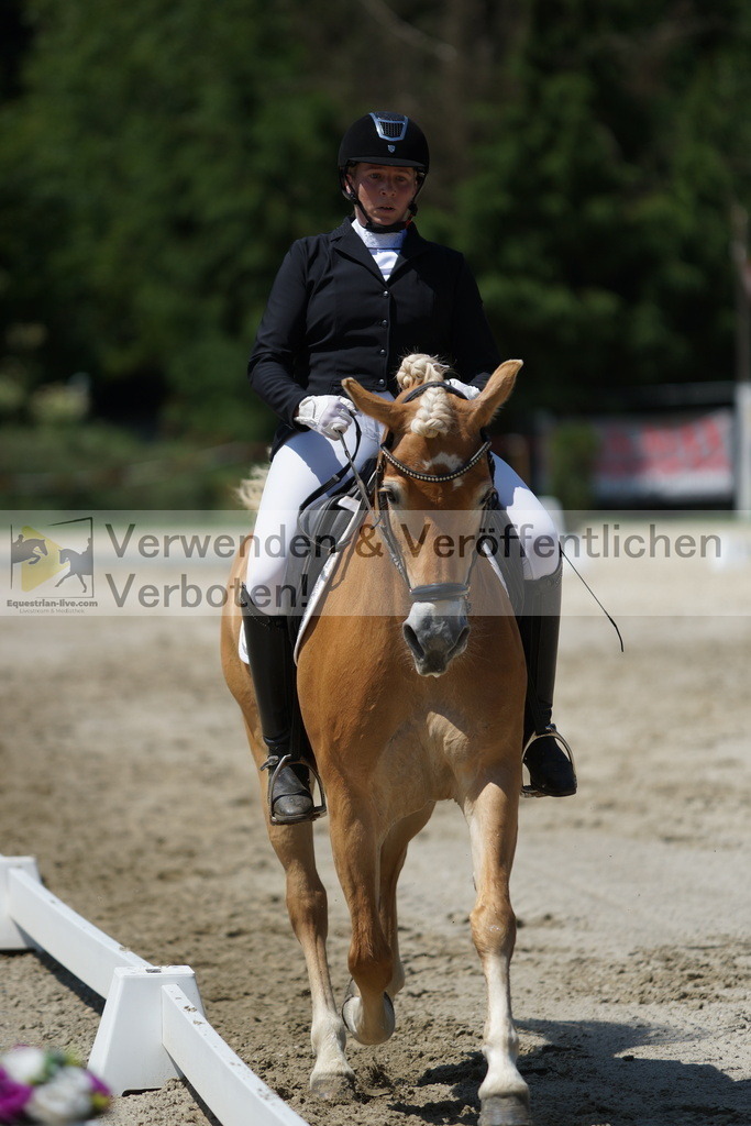 DSC03269 | equestrian-live-com