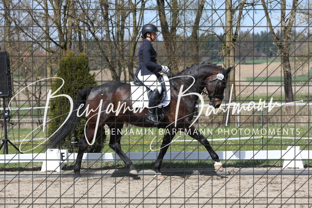 AZ2A5415 | Benjamin Bartmann Photomoments